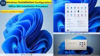 Windows 11 and Office 365 Installation Configuration Network Setup