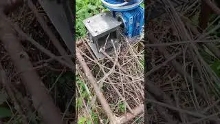веткорез