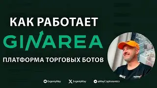 Как быстро создать торгового бота самому