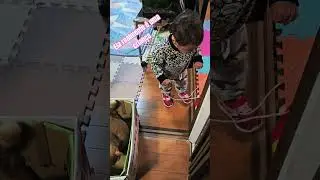 Essa gata pensa que é igual a criança.. 🥰🥰🥰 minha filha mais nova ..kkk