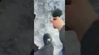 #ёрш