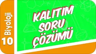 10. Sınıf Biyoloji: Kalıtım Soru Çözümü 