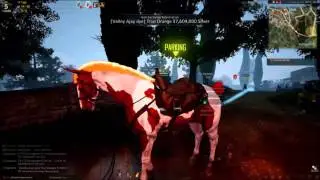 Black Desert Online - Witch Gameplay #1