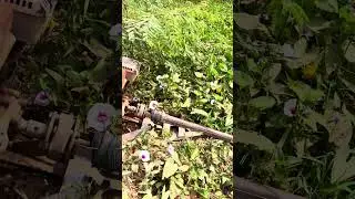 Longtail pump machine  #agrimachine #agriculturemachine #agriculturelife