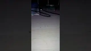 6 октября 2017 г.