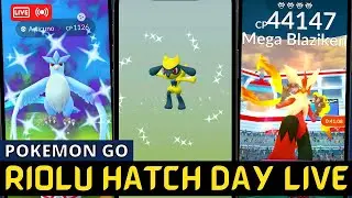🔴 Riolu Hatch Day Live