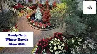 Winter Flower Show | #Candy Cane