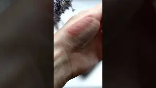 Помады Catrice 