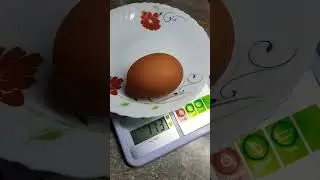 Вот это ЯЙЦО снесла курочка 🐔🥚😱 #оттатьяныслюбовью  #куры #курынесушки #яйценоскость #яйца