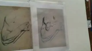 Bargue Plates: Turning Form Demo from Sadie Valeri's Online Atelier
