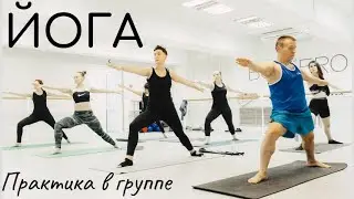 Group Yoga Practice / Funky Pincha, Yoga Dandasana, Twists, Backbends, Arm Balances