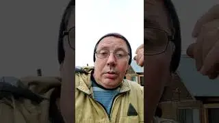 🏠 Новосибирск тонет: 🐄 репортаж с затопленной фермы 😞 Как поднять настроение? 🌂