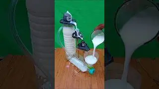 Milk self-anointed Shivlinga the fountain 