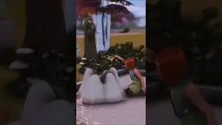 Newcrest Child Playground 🦔  