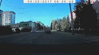 Голубь
