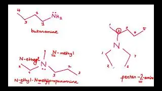 Amines and Amides