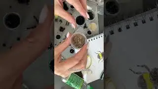 Пишите МК я поделюсь #брошьизбисера #мастеркласс #вышивка