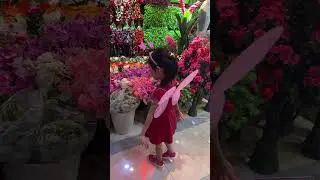 Novella 6yrs old