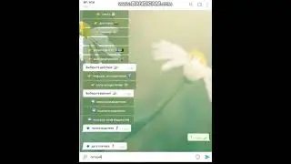 📲   Диспетчеру: учет оплаты водителю  🧾💸💳️