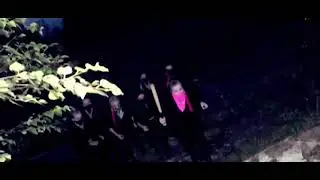 Ей мис кис кис давай верх давай вниз