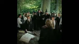 Untitled video