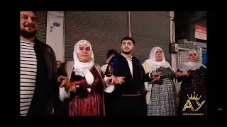 FERHAT GÜZEL SEGAVİ