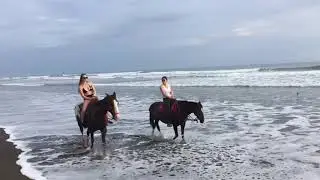 Riding at Sunset by Pelican Hotel