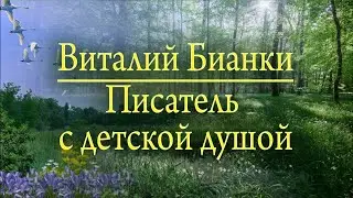 Видеоистория 