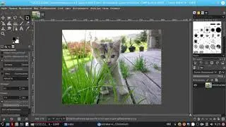 How to crop an image in Gimp. It's easy and simple: the Gimp tutorial for beginners