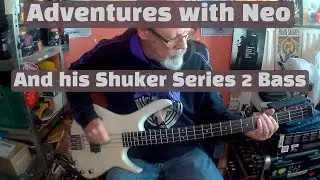 Me and my Bass - Adventures with Neo and his Shuker Series 2 Bass