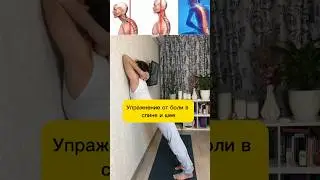 БОЛЬ в спине или шее? ДЕЛАЙ ЭТО УПРАЖНЕНИЕ и  БОЛЬ Исчезнет 👆🏼 