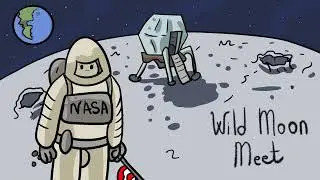 Wild Moon Meet