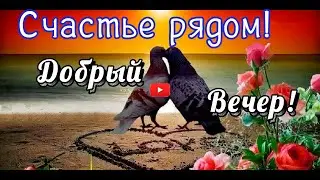 ДОБРЫЙ ВЕЧЕР, Желаю тепла и уюта, С Добрым вечером
