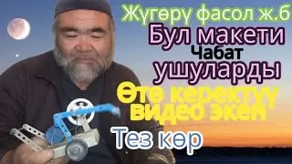 Мындайды эч көрө элексин😮