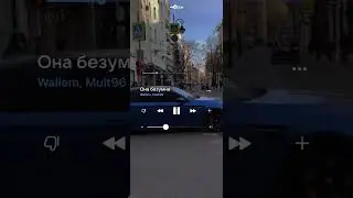Wallem, Mult96 - Она Безумна