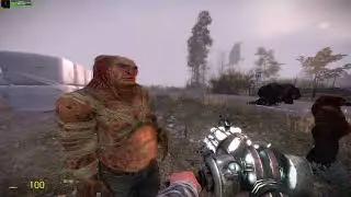 Burer and Controller SNPCs [S.T.A.L.K.E.R.] & [VJ] Project S.T.A.L.K.E.R. vs Zippy's Combine SNPCs