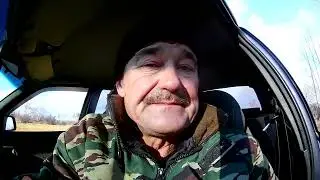 Бобры заваливают покос осинами.