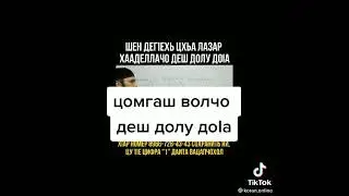 цомгаш волчо Деш долу до1а
