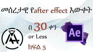 05 Adjustment layer and basic of expression in after effects  