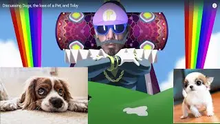 Discussing Dogs, the loss of a Pet, and Toby