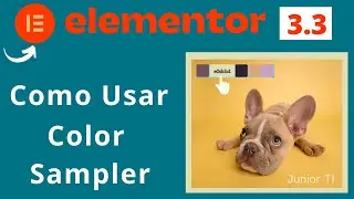 Como usar Color Sampler no Elementor WordPress