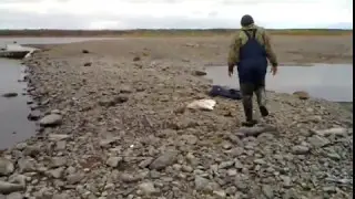 Рыбалка на Северной Сосьве в п. Игрим Ловля щуки на спиннинг.