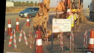 How to Start project  polythene pipe for Water line basic Information.
