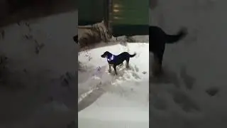 Спасение утопающих 😁 