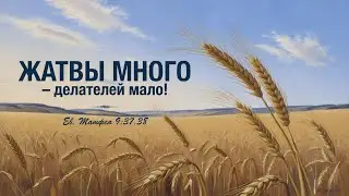 Итак, моли́те Господина жатвы! – Андреас Патц