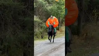 BIG pumpkin costume😱🎃 