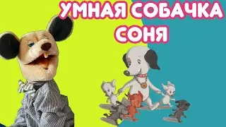 Крыся Лёвкин - продолжение книги Умная собачка Соня (Андрей Усачёв)