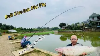 Trải Nghiệm Với Hương Liệu Q1 Thiên Xuyên tại đất tổ