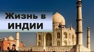 ИНДИЯ ЖЕСТЬ НА УЛИЦАХ | ДЕЛИ И ТРУЩОБЫ | INDIA, DELHI