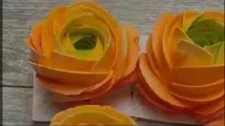 💠🍀Ранункулюсы из зефира 🌼🏵️от Карины Загоскиной